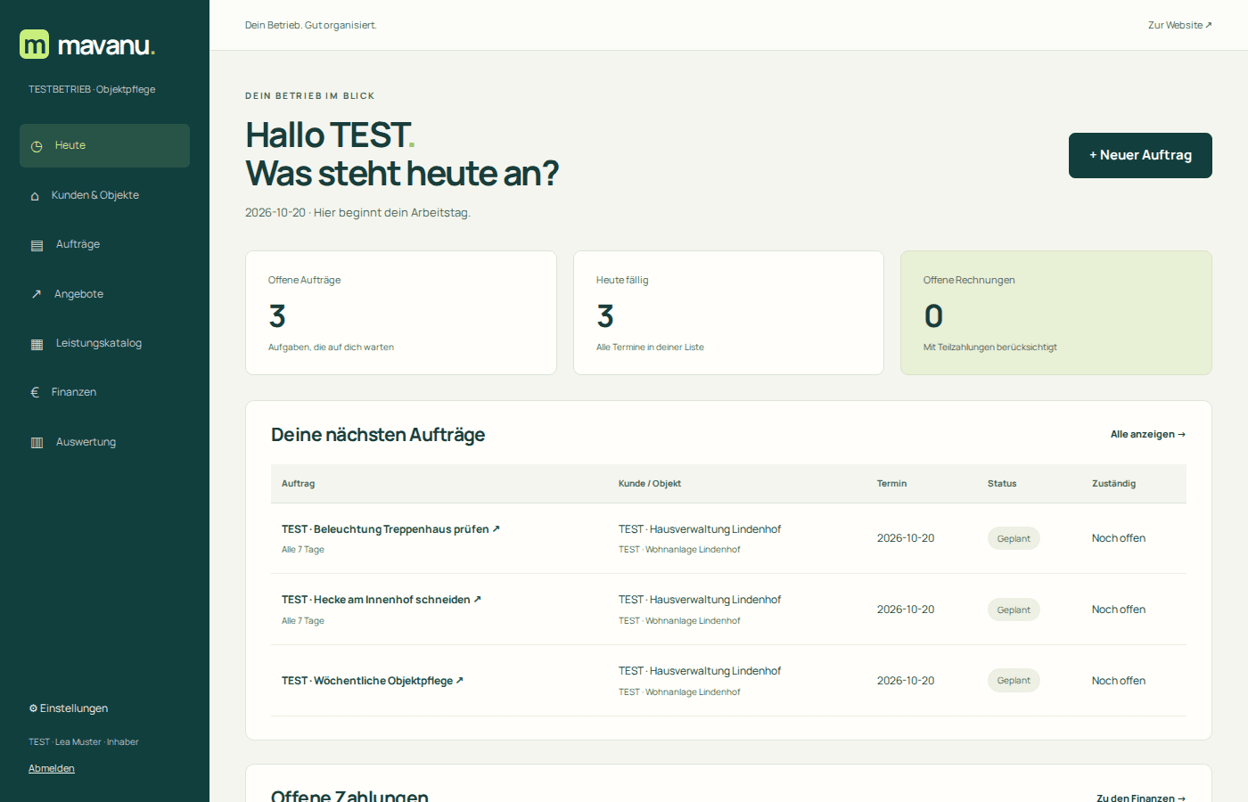 Ansicht der Website von Mavanu